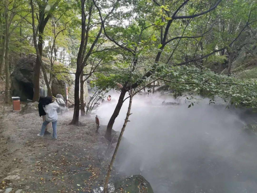 为何《神盾局特工》中，黛西在框架中是和沃德在一起？